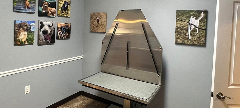 exam-room Exam room at Johnson Creek Veterinary Care