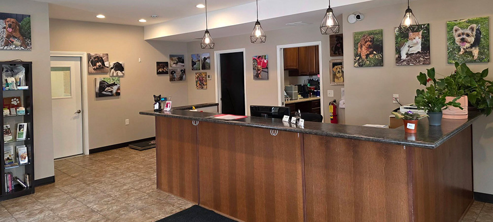 front-desk Front desk at Johnson Creek Veterinary Care