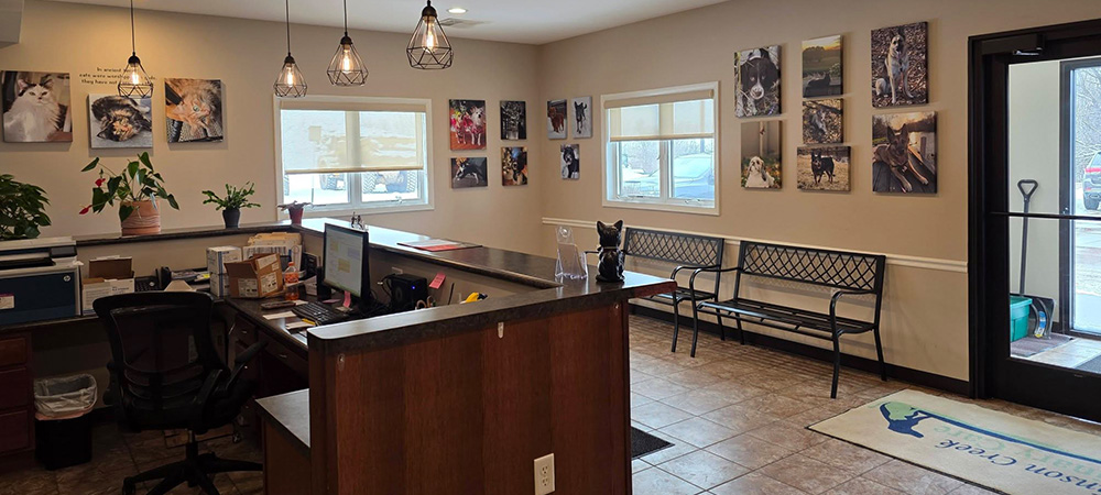 lobby-2 Front lobby at Johnson Creek Veterinary Care