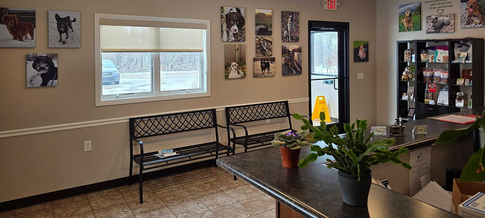 lobby-3 Lobby at Johnson Creek Veterinary Care